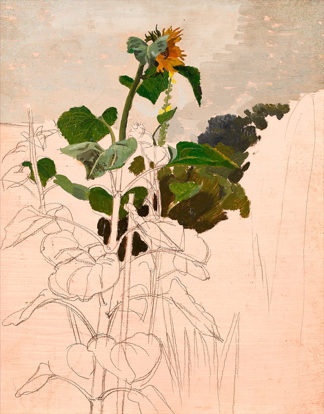 picture