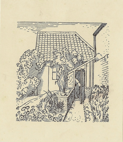 picture