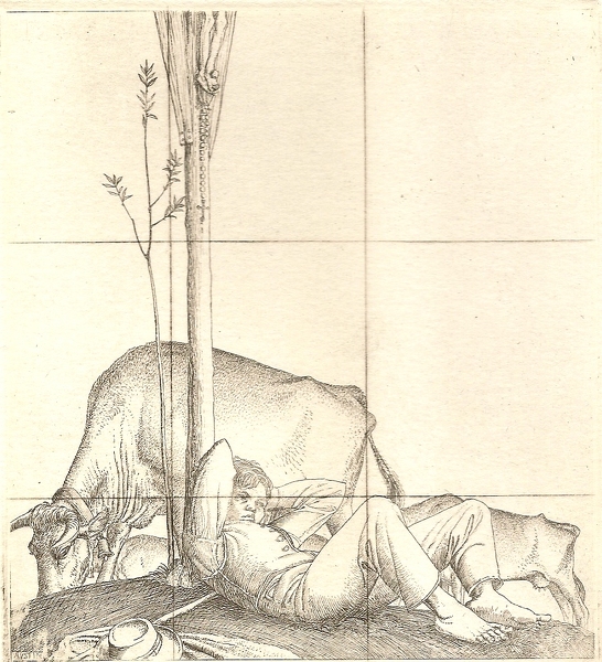picture