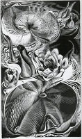  Waterlilies, 1930