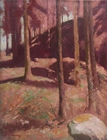 Forest in Wales