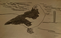 Snow Goose, circa 1950