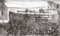 Observation Post - Wrotham Hill