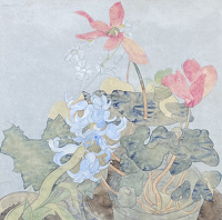 Hyacinth and Cyclamen