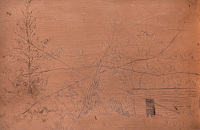 Garden with shed, circa 1905