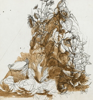 Study of a sunflower with cabbages...