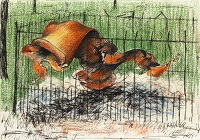 The End of a Doodlebug