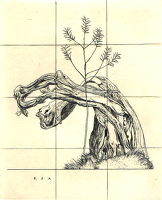 Tree Study Eton