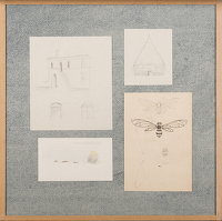 Four studies