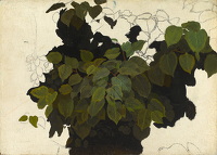 Study of Foliage