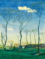 Bare Trees in  a Watermeadow
