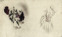 Study of Clematis Viticella and...