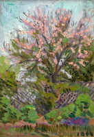 Cherry blossom with trellis fence below