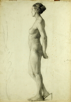 Profile study of nude standing