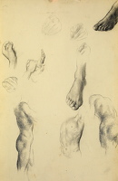 Sheet of Studies