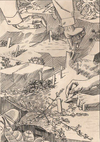 Coronilla cappadocia – Sketch for...