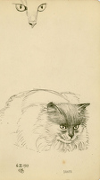 Dante, 6 March 1913