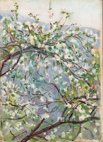Blossom, circa 1900