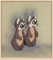 Raccoons