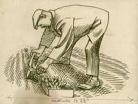 Design for Gardener’s Choice