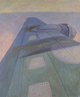 Wing of an Aeroplane over the...