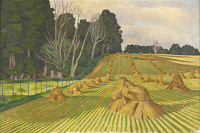 Cornfield with stocks