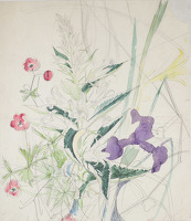 A sheet of flower studies with...