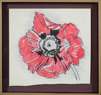 Study of a poppy, circa 1948