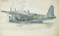 Study of a Sunderland