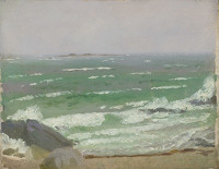 Waves on the Beach Shore 