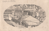 Vignette for title page of...