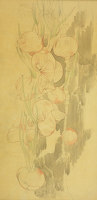 Onions, circa 1930