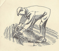 Design for page 21