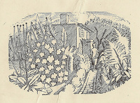 Design for page 43
