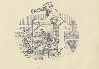 Vignette design of a woman...