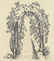 Design for flyleaf, Gardeners’ Choice