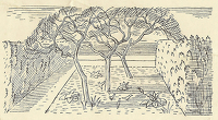 Vignette of garden orchard area for...