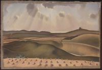Sunlit fields with haycocks