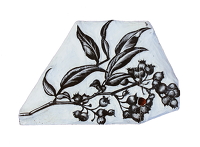 Blueberries, BPL 698
