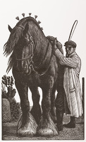 Stallion and Groom