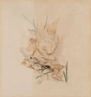 Spring foliage