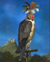 A Hooded Falcon, circa 1955