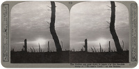 Stereoscopic print: The Golden sun...