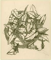 Study for Gardener's Choice, c. 1935