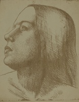 Head of a Girl in Profile