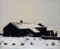 Sheep coming in, c.1970
