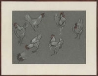 Study of Cockerels