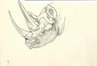 Rhino head