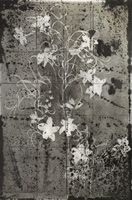 Winterlace II, 1954