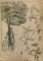 Study for Hyde Park in Summer - the...
